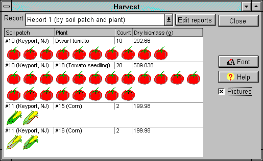 harvest window (56K)